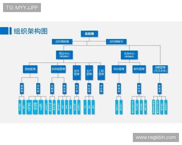 宝盈集团简介：宝盈集团的领导团队与管理架构详解