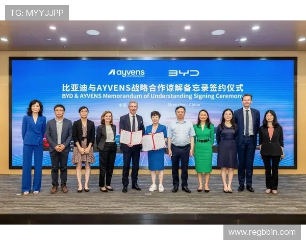 bbin合作平台大全助你全面了解多样化的合作方式与优势解析